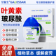 叶黄素滴眼液丨改善视力缓解眼睛疲劳干涩视力模糊眼药水官方正品