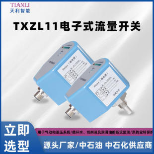 TXZL11电子式流量开关热导式流量开关生产常州天利智能天祥牌