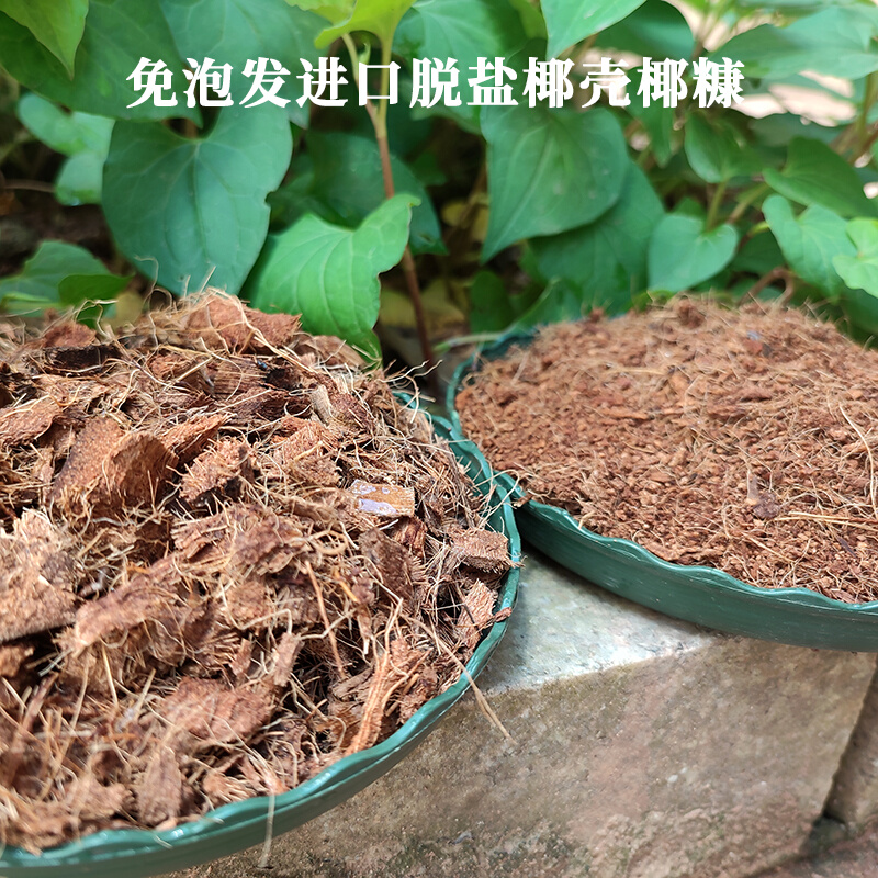 椰糠土营养土免泡发散装泥炭土椰砖椰壳土壤介质多肉种花种菜基质