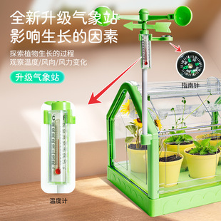 学优马阳光房种植儿童种菜玩具科学实验盆栽手工diy材料植物花房