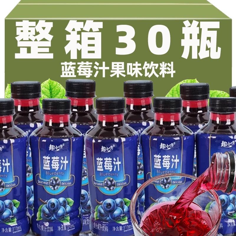 蓝莓汁果味饮料爆款四季网红水果风味