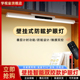 全光谱壁挂式护眼灯学习专用防近视双控灯儿童书桌长条阅读磁吸灯