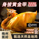 【顺丰空运】正宗梅州盐焗鸡整只广东特产真空熟食即食客家盐局鸡