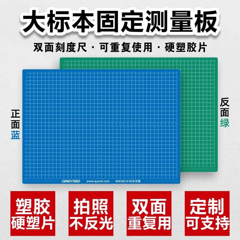 大标本ESD病理组织肿瘤内镜手术标本固定测量板拍照不反光刻度尺