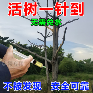 百树枯烂根除大树专用药一滴树死强力除树剂死树烂根竹子灌木除根