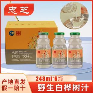 忠芝伊春特产长白山白桦树汁原液水桦树饮料小兴安岭248ml*6瓶整