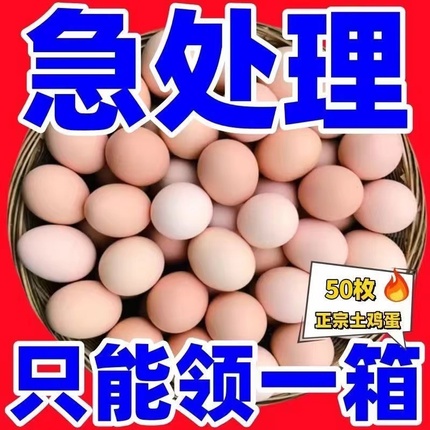 现捡现发农家散养土鸡蛋新鲜柴鸡蛋营养虫草蛋整箱笨鸡蛋40枚一箱