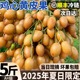 顺丰鸡心黄皮果新鲜水果现摘黄弹子冰糖黄皮当季孕妇广东特产包邮