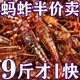新鲜油炸蚂蚱即食零食带翅膀蝗虫麻辣椒盐小吃美食蚂蚱药食同源