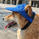 狗狗防晒帽露耳棒球帽柴犬柯基鸭舌帽小狗帽可调节宠物夏季太阳帽