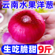 云南紫皮水果大洋葱9斤新鲜小洋葱甜味生吃蔬菜不辣红皮大圆葱头