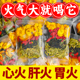 金银花菊花茶男女去火清火清热降火祛排解痘毒下火凉茶叶花茶包