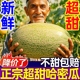 正宗超甜哈密瓜新鲜当季水果10斤新疆网纹瓜甜瓜香瓜吐鲁番西州蜜
