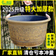 塑料大花盆特大号清仓果树加厚铁树脂户外庭院荷花睡莲陶瓷大水缸