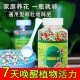 绿植花卉通用控释肥多肉颗粒缓释肥养花专用营养肥料氮磷钾复合肥