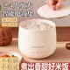 【特价】电饭煲多功能大容量饭煲电饭锅学生家用智能电热火锅煮锅