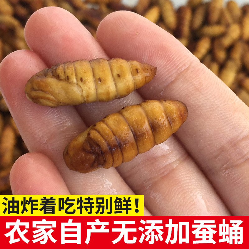 青岛老魏水产 山东特产鲜活小蚕蛹新鲜冷冻250g满6斤包邮蚕蛹