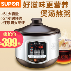 SUPOR/苏泊尔DG50YC8-70陶瓷预约全自动家用5L电炖锅盅煮粥煲汤锅