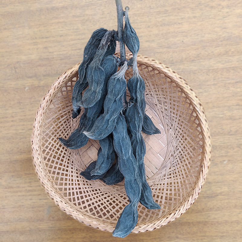 陈年狗爪豆种子带豆荚100g狗儿豆猫豆虎老豆老鼠豆狗仔豆老虎豆