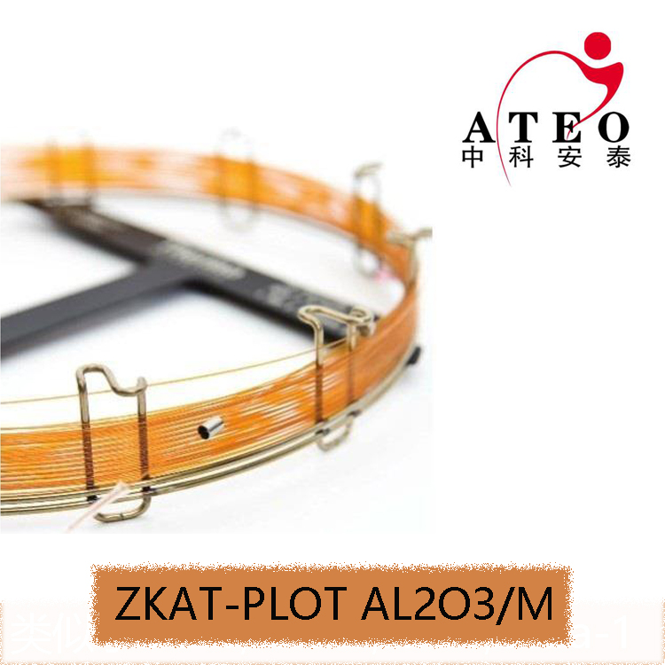 兰州中科安泰气相色谱柱ZKAT-PLOT AL2O3/M毛细管色谱柱实验室|msdalam kategori 润滑/胶粘/试剂/实验室耗材, 实验室器材, 色谱柱 - dari Buy2taobao.com untuk memberikan perkhidmatan ejen Taobao profesional membeli