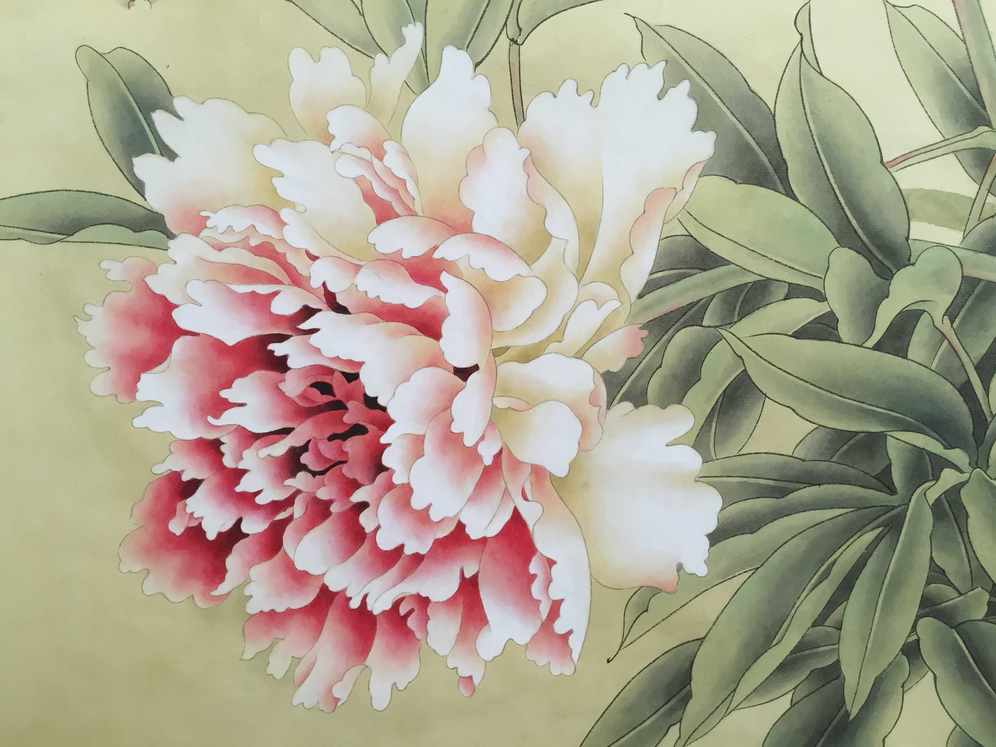 焦松梅 国画《工笔牡丹》河北美协会员