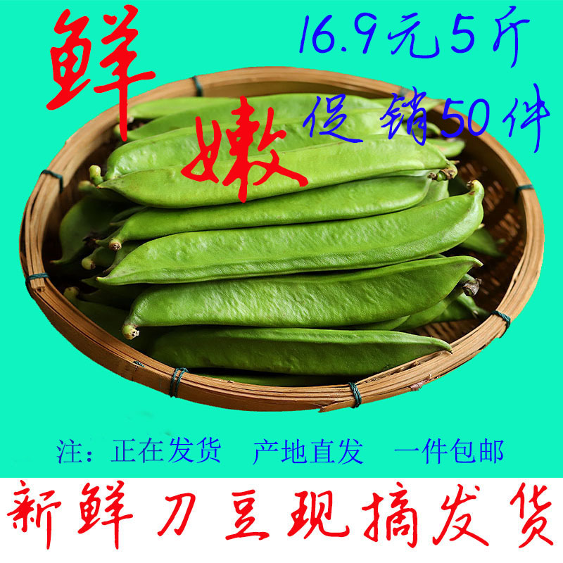 农家新鲜刀豆时令蔬菜泡菜剁辣椒酸刀豆 江西自种青刀豆5斤装包邮在类目 水产肉类/新鲜蔬果/熟食, 新鲜蔬菜/蔬菜制品, 新鲜蔬菜, 新鲜豆类中 - 来自Buy2taobao.com提供专业的淘宝代购服务