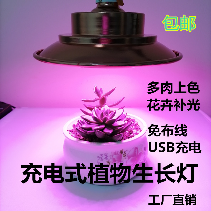 多肉植物补光灯泡支架家用蔬菜花卉生长太阳全光谱养花充电led灯