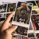 篮球球星欧文科比詹姆斯库里明信片周边贴纸卡片海报球迷礼品礼物