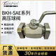 供应BKH系列SAE法兰连接高压球阀 BKH-SAE210-25/32法兰球阀