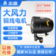 志高650/750牛角工业电风扇电机强力落地扇机头马达大风力配件通
