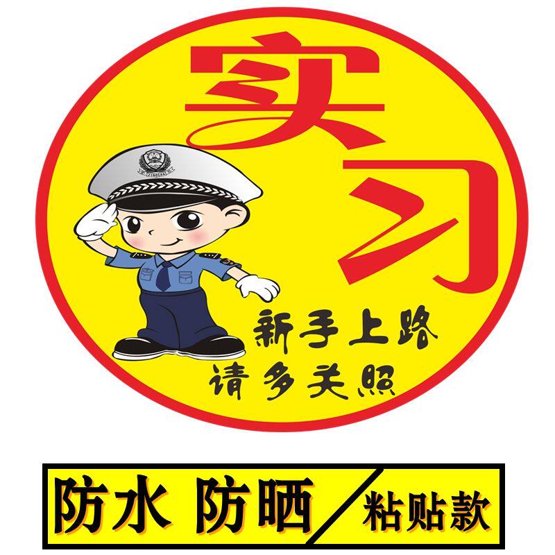 女司机新手上路请多关照实习贴防水防晒实习期上路标识贴汽车贴纸