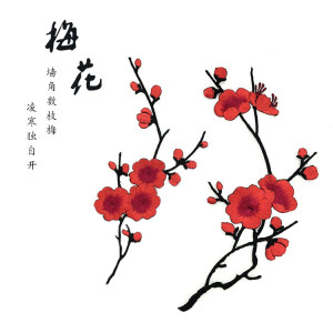 梅花贴纸花朵大全图片