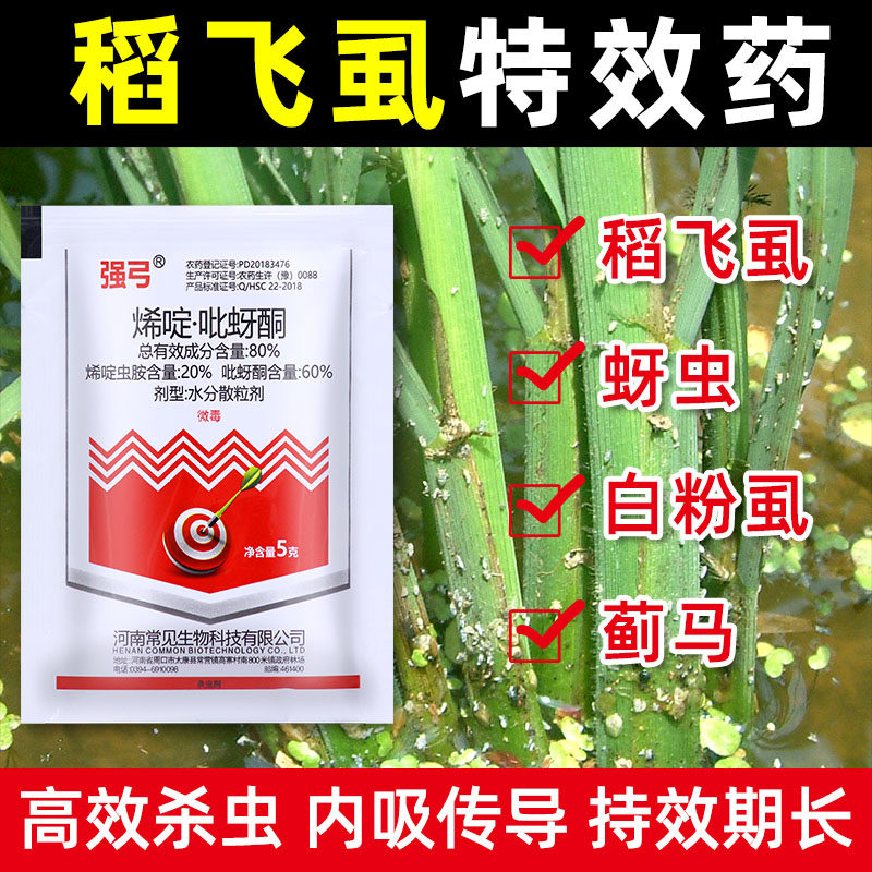 稻飞虱农药杀虫剂烯啶吡蚜酮水稻专用杀虫剂蓟马蚜虫白粉虱特效药