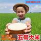 2023新米gb/t19266东北大米五常大米稻花香米2号黑龙江大米10斤
