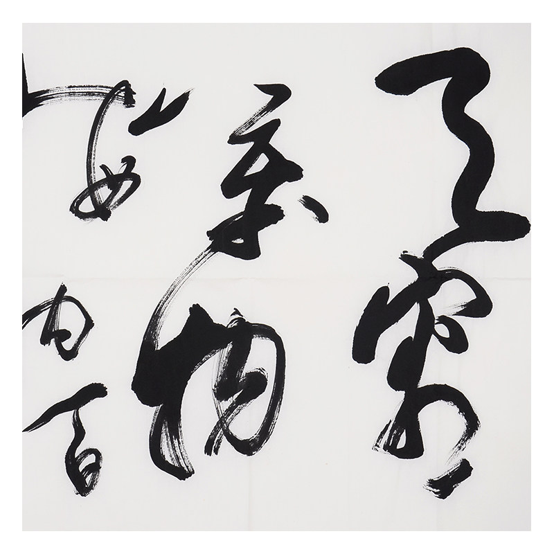 唐国强 《天容万物》著名影视明星 中书协会员