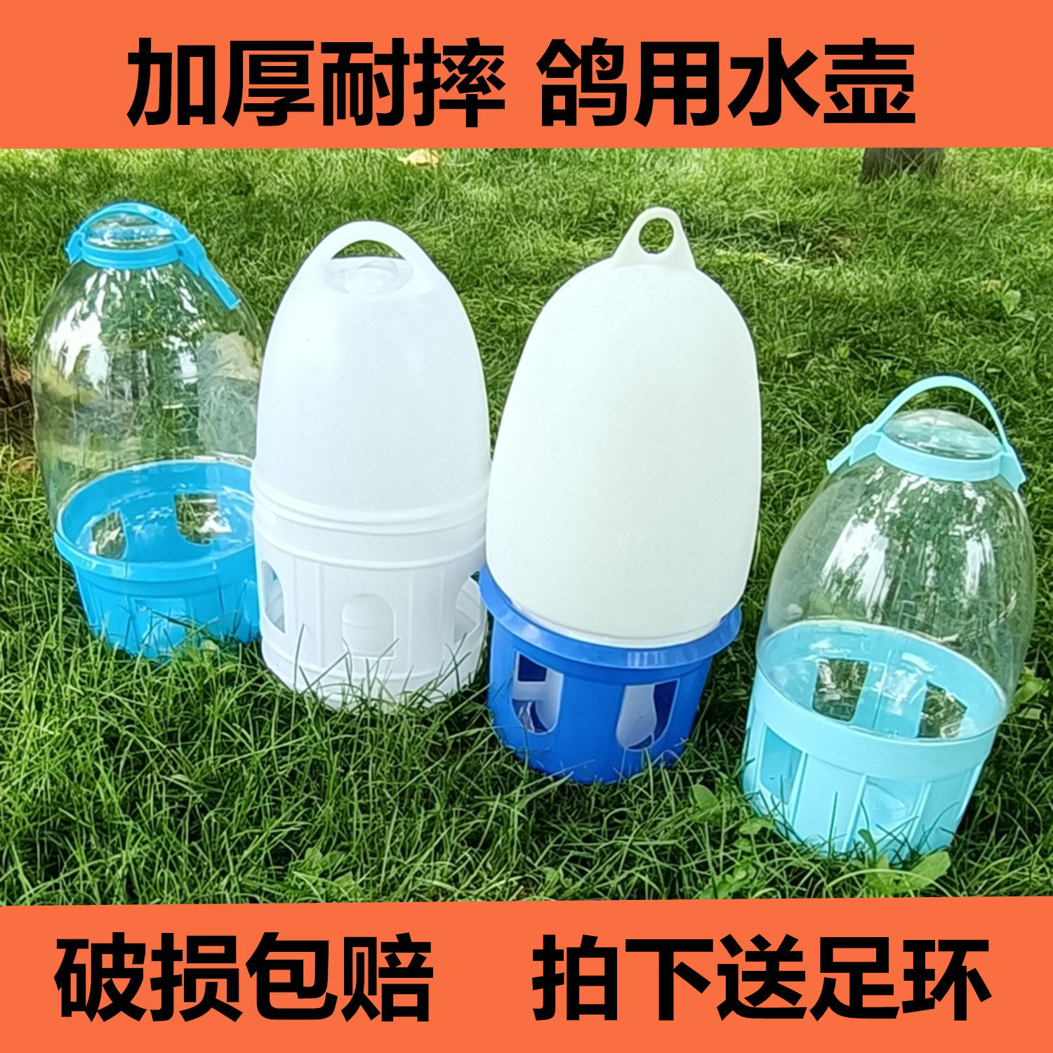 鸽子用品用具喂水