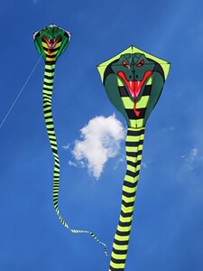 【竹叶青蛇风筝图片】竹叶青蛇风筝图片大全_好便宜网