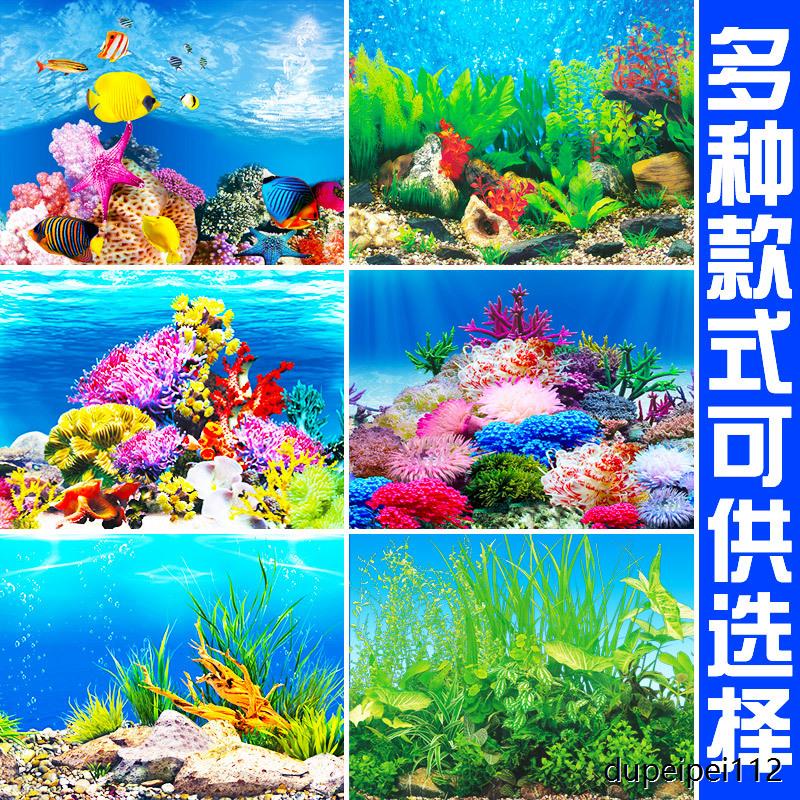 鱼缸背景纸画高清图3d立体鱼缸壁纸背景画双面水族箱装饰鱼缸贴纸