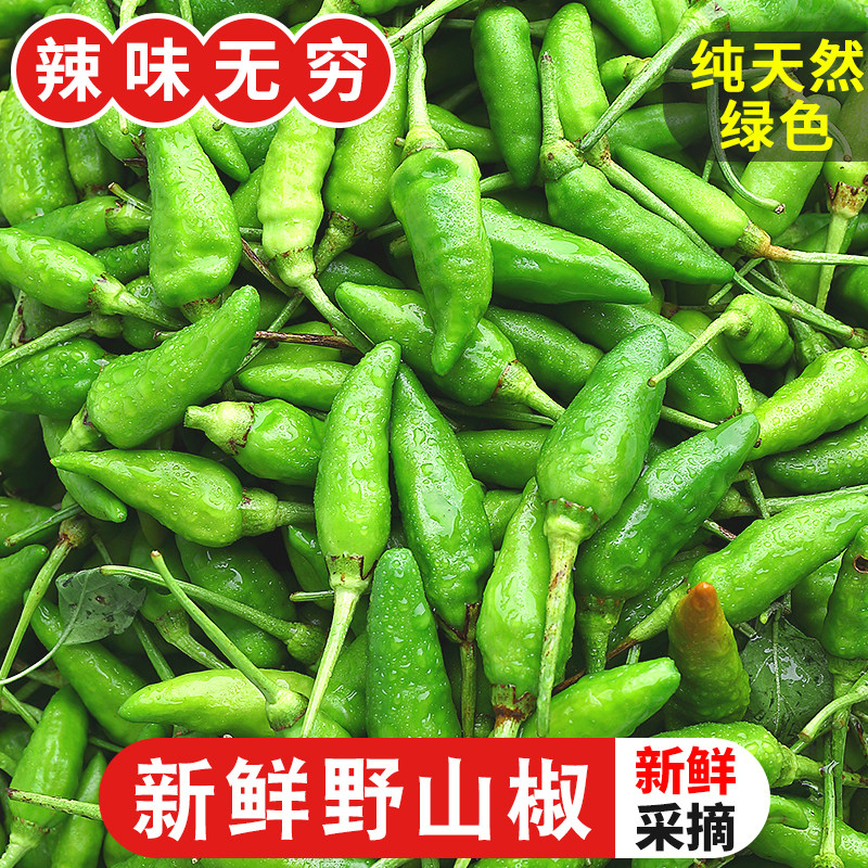 广西野山椒新鲜辣椒5斤特辣农家青椒指天椒朝天椒小米辣椒包邮10