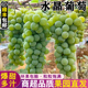 新鲜水晶葡萄5斤当季现摘整串青提玫瑰甜葡萄晴王提水果顺丰整箱