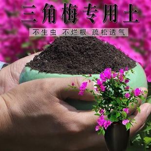 三角梅专用土三角梅土家用养花土壤养花种植土泥土通用营养土肥料