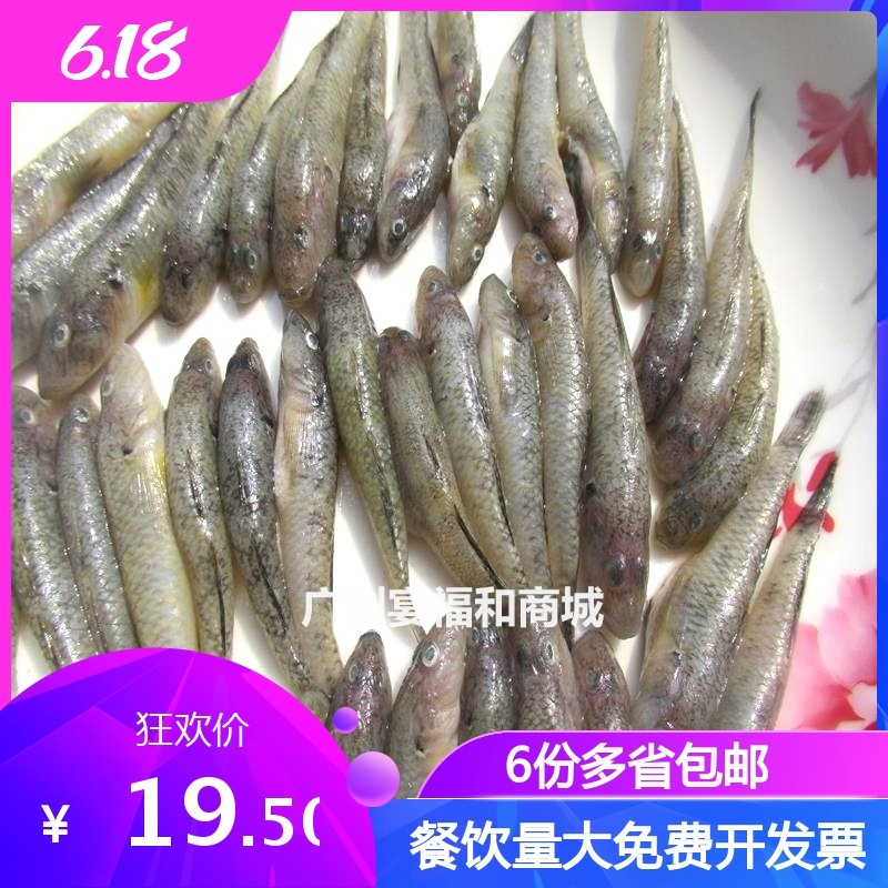 石头鱼大码女装新款2017夏-特价促销-优惠券领取-价格|多少钱|什么