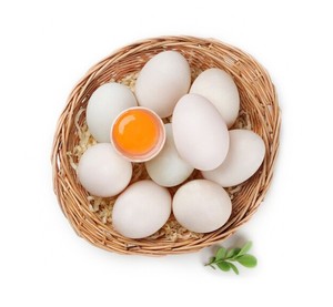 连城白鸭蛋白鹜鸭鸭蛋20枚 连城白鸭鸭蛋 新鲜农家散养鸭鸭蛋