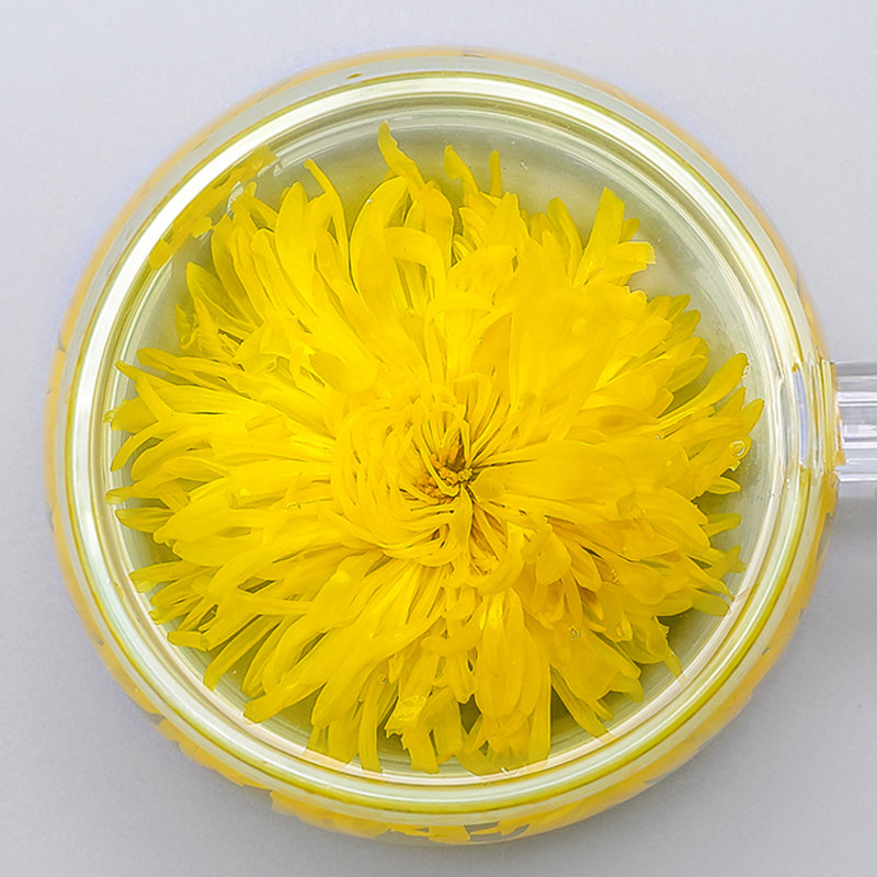 热销江西修水_大朵菊花茶一朵一杯金丝皇菊江西修水黄金茶包袋装小包