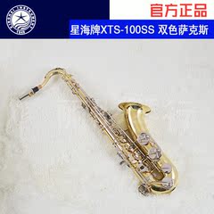 星海牌 XTS-100SS 双色bB调次中音萨克斯 正品原装