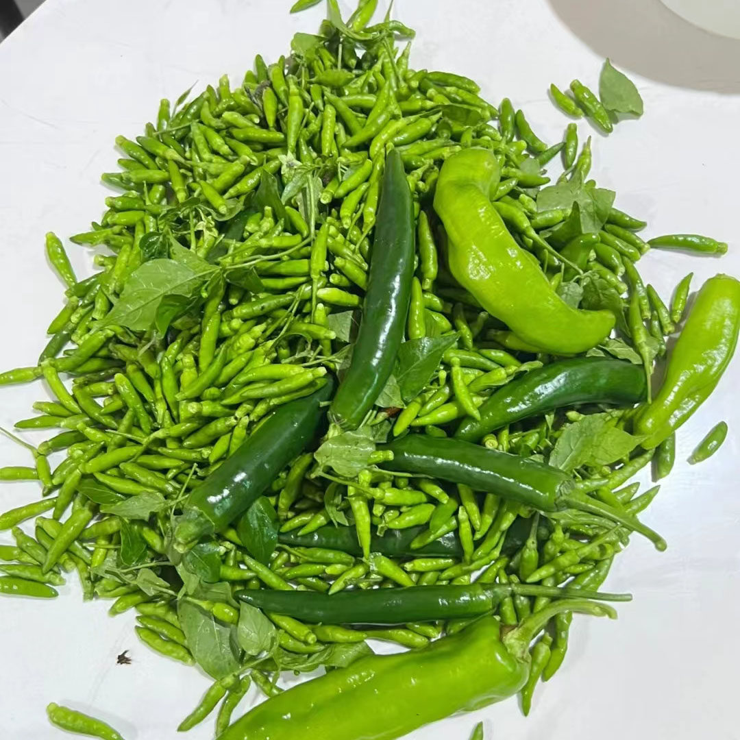新鲜小雀椒云南新鲜小米辣小米椒 泰国品种鸟眼辣椒【现摘现发】