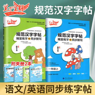 笔下生辉规范汉字字帖一年级二年级三四年级五六七八年级上册下册语文英语人教版同步字贴控笔训练正楷字贴练字帖随堂默写每日一练