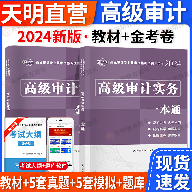 高级审计师教材2024考试辅导用书一本通历年真题库模拟试卷全套AUDIT高级审计实务专业技术资格书练习题集资料网课官方2023