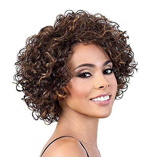 short curly human hair wigs for black women udu short curly