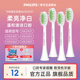 飞利浦电动牙刷HX2421HX2451HX2481原装替换牙刷头配件正品HX2031